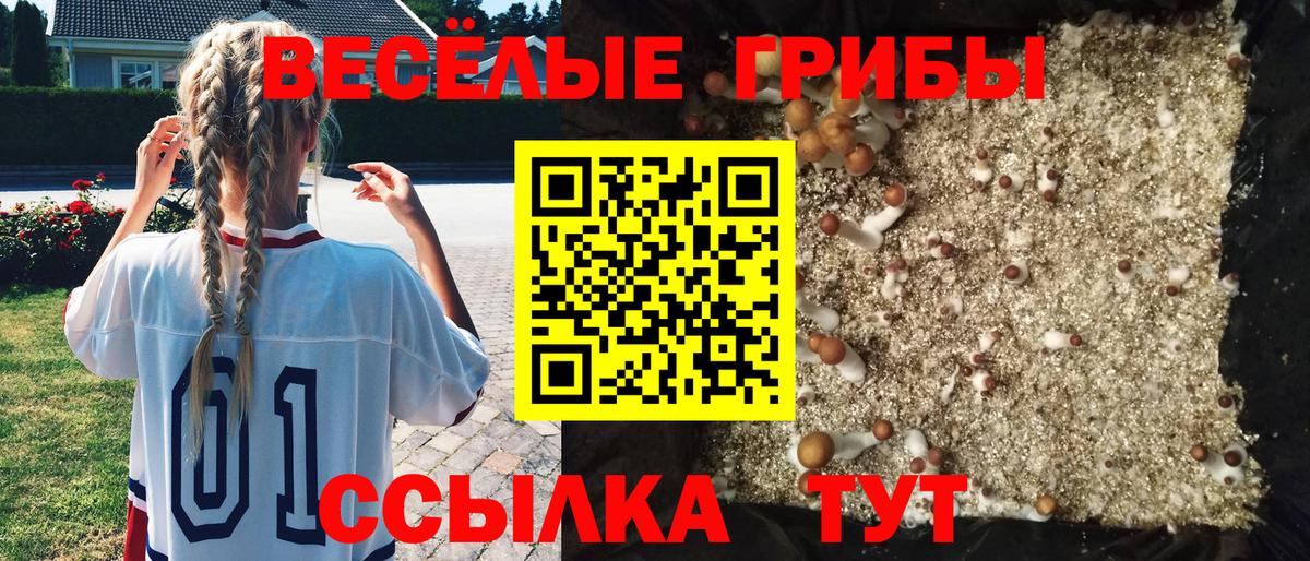Галлюциногенные грибы GOLDEN TEACHER Ишим