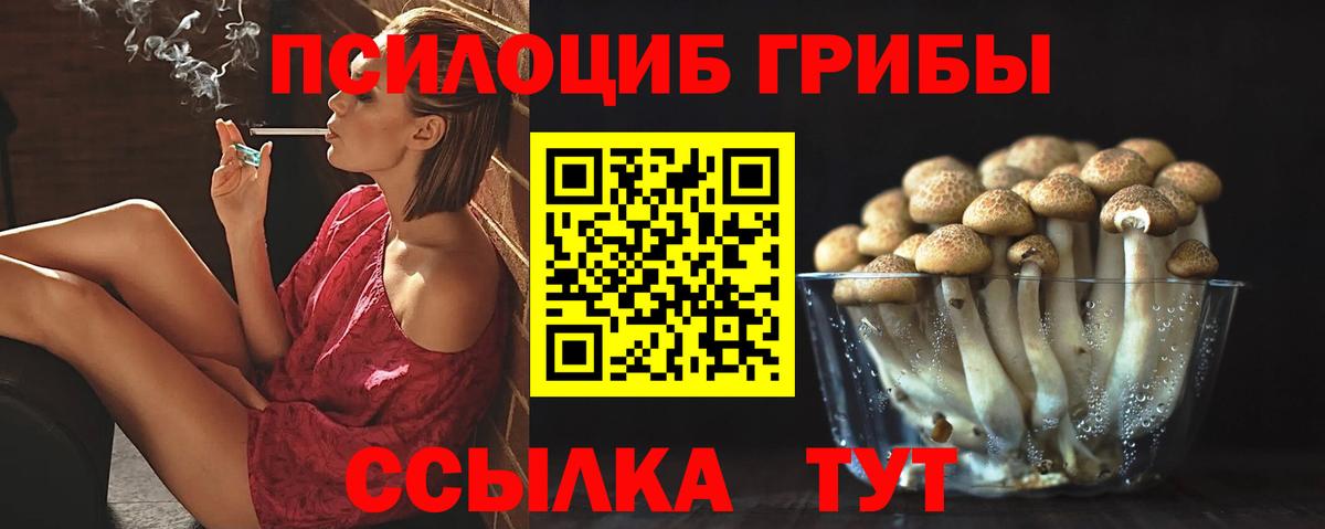 Галлюциногенные грибы GOLDEN TEACHER  Галлюциногенные грибы GOLDEN TEACHER  Ишим  Вход с VPN 